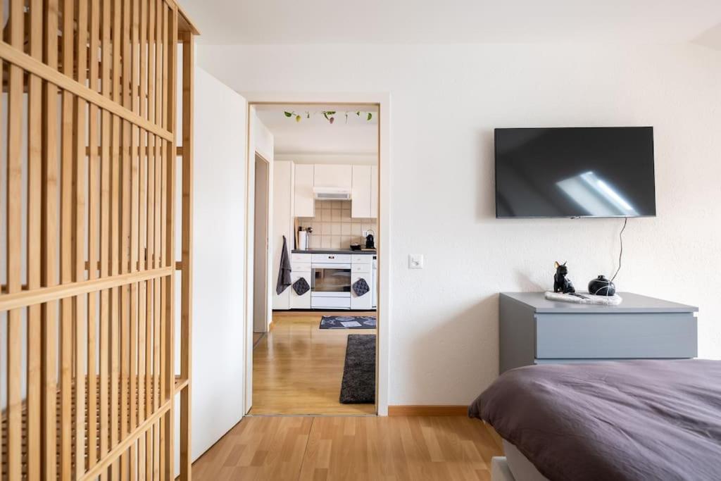 Charmante Wohnung An Beliebter, Urbaner Lage 苏黎世 外观 照片
